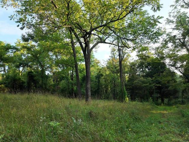 Land for sale in Romney, West Virginia