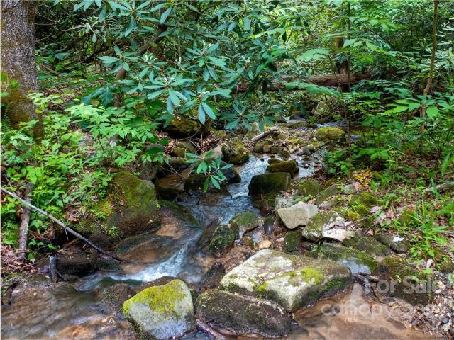 Land for sale in North Carolina