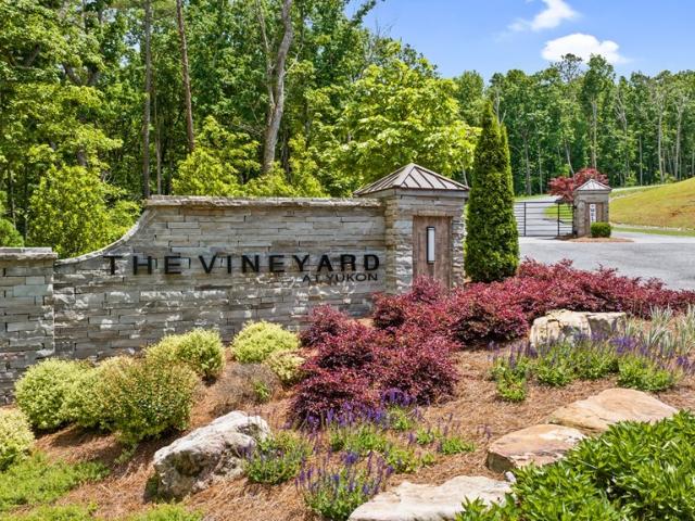 Land for sale in Gilmer, Georgia