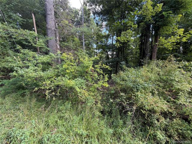 Land for sale in Village of Wurtsboro, Sullivan County