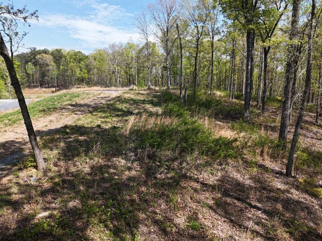 Land for sale in Gilmer, Georgia