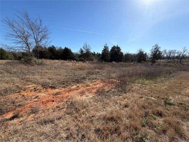 Land for sale in Leon, Texas