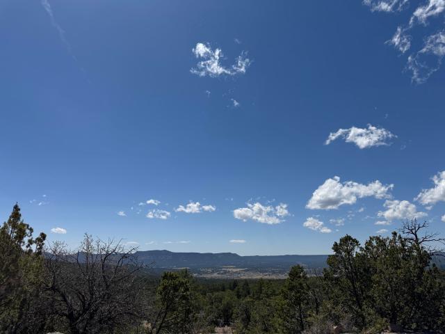 Land for sale in Pecos, New Mexico