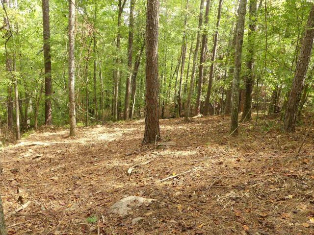 Land for sale in Lineville, Alabama