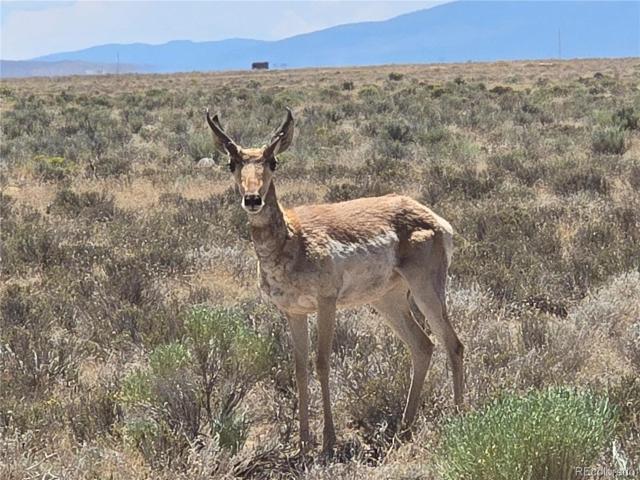 Land for sale in Colorado