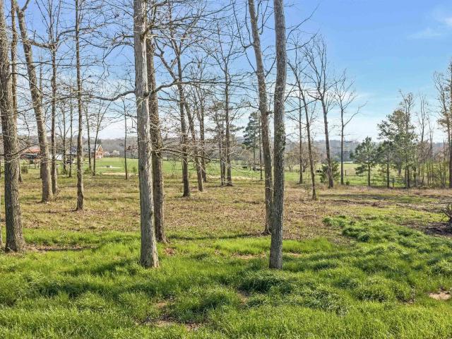 Land for sale in Rainsville, Alabama