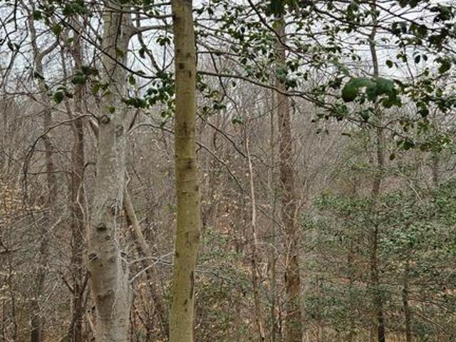 Land for sale in Virginia