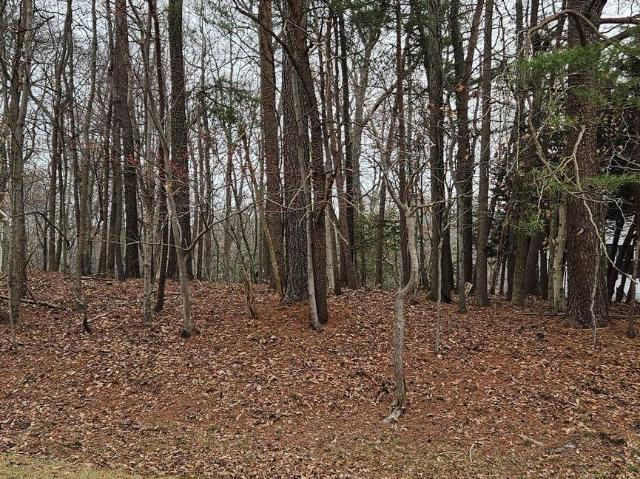 Land for sale in Virginia