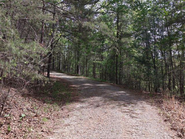 Land for sale in Dahlonega, Georgia