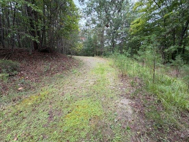 Land for sale in Dahlonega, Lumpkin County