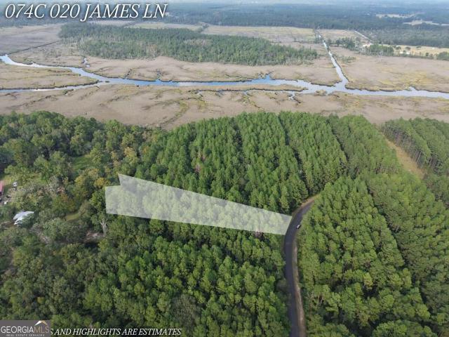 Land for sale in Red Bluff, Camden County
