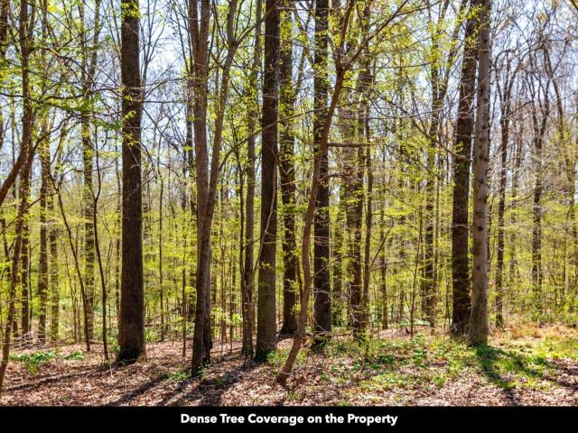 Land for sale in Tennessee