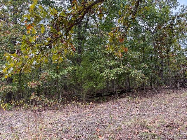 Land for sale in Stover, Morgan County