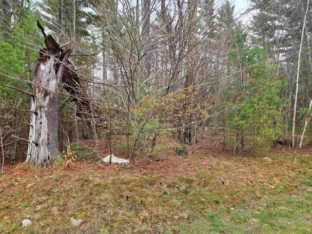 Land for sale in New Hampshire