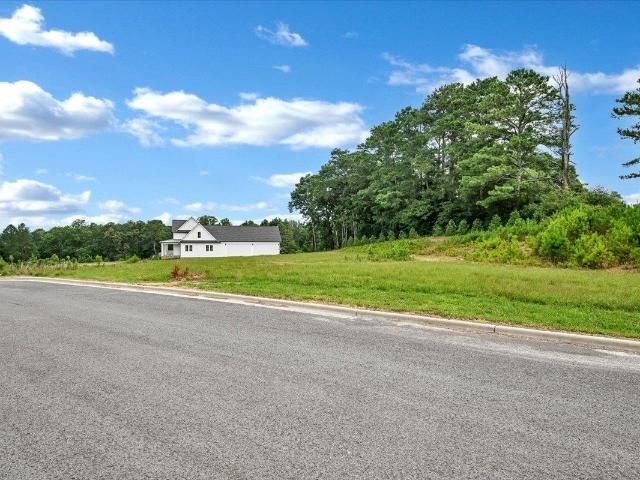 Land for sale in Cullman, Alabama