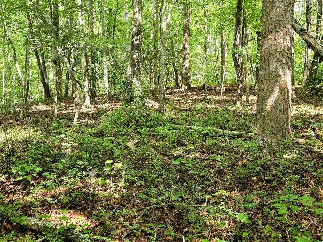 Land for sale in Aerial, Clarkesville