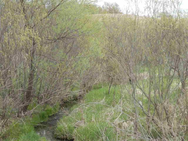 Land for sale in Tomah, Wisconsin