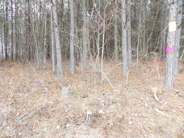 Land for sale in Tennessee