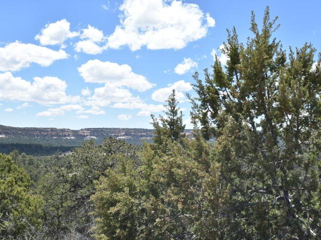 Land for sale in Ramah, New Mexico
