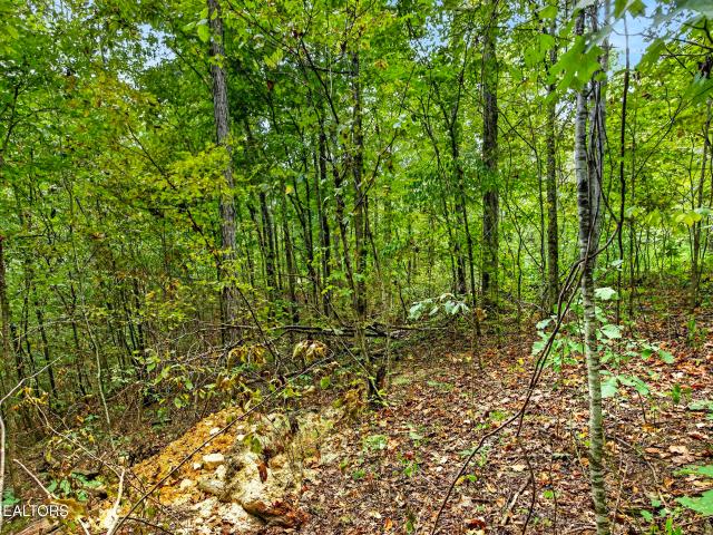 Land for sale in Neely Crossroads, Celina