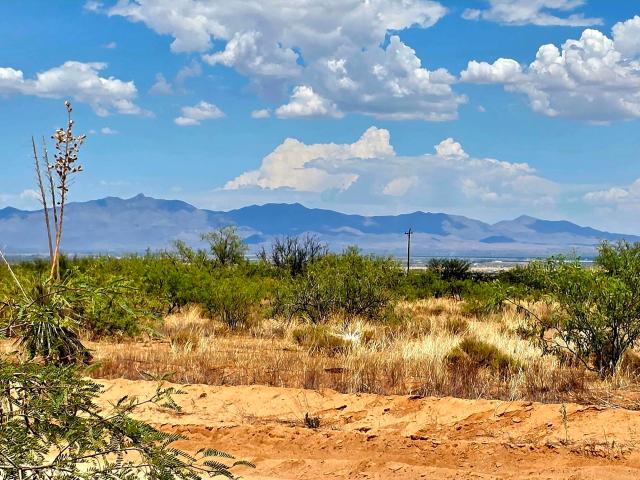 Land for sale in Pearce