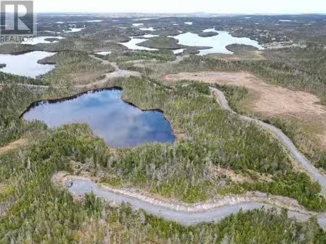 House for sale in Salmonier, Newfoundland And Labrador