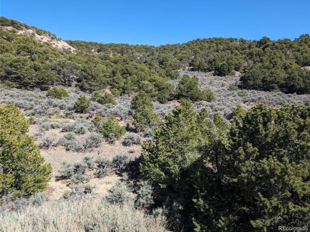 Land for sale in Fort Garland, Colorado