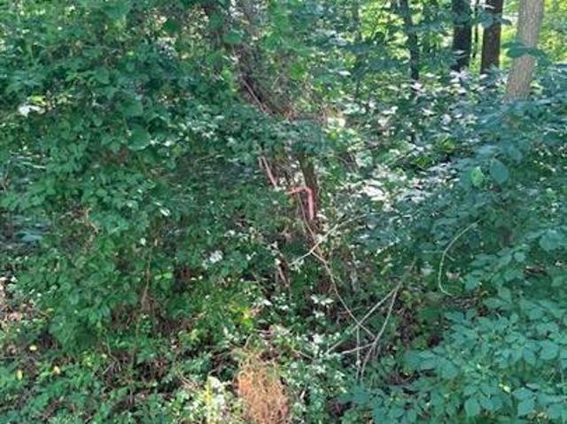 Land for sale in Virginia