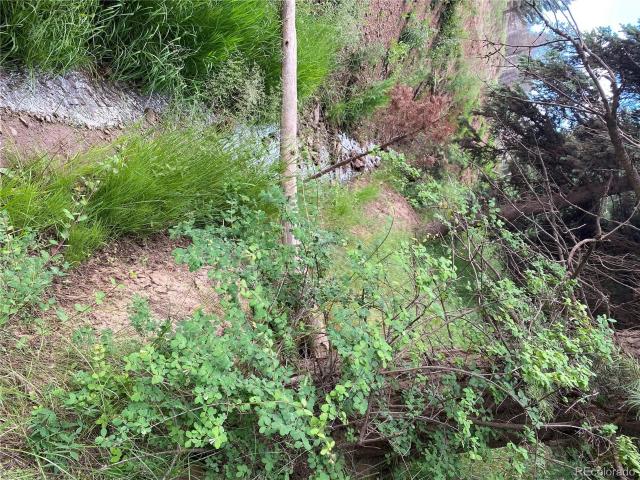 Land for sale in Fort Garland, Colorado