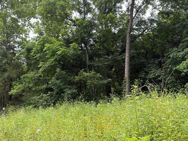 Land for sale in Barry, Missouri