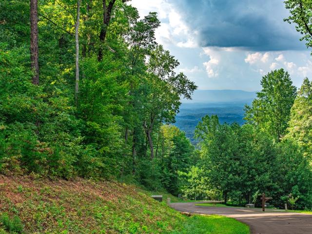 Land for sale in Gilmer, Georgia