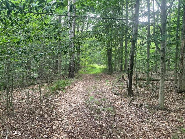 Land for sale in Stephentown, New York