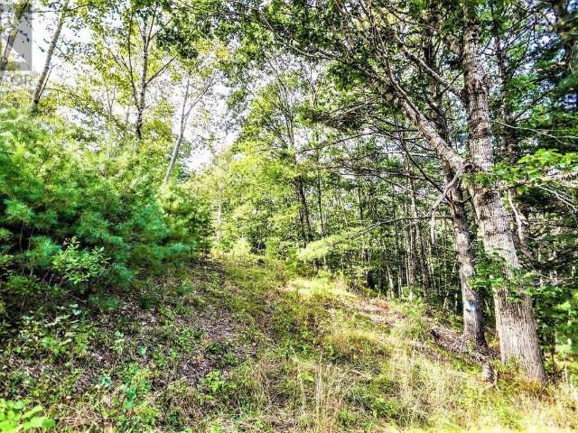 Land for sale in Mahone Bay, Nova Scotia