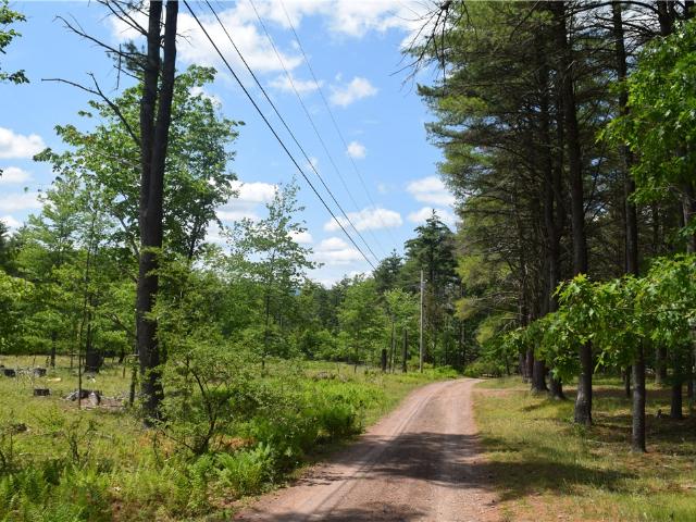 Land for sale in Acra, New York