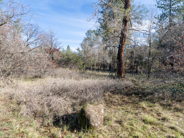 Land for sale in Shasta, California