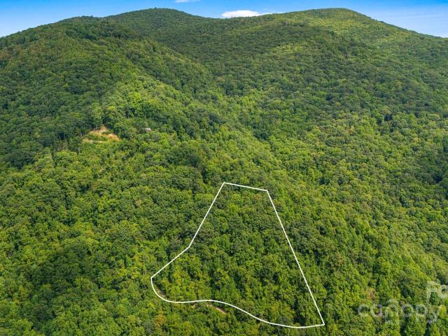 Land for sale in Hot Springs, North Carolina