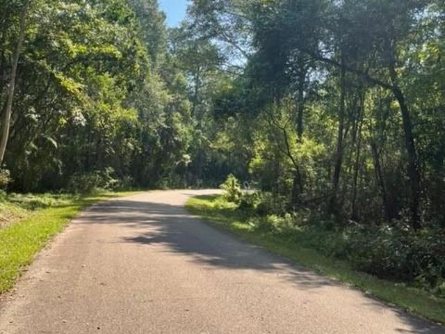 Land for sale in Abita Springs, Louisiana