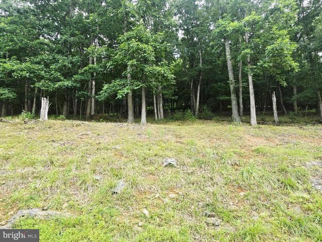 Land for sale in Franklin, West Virginia