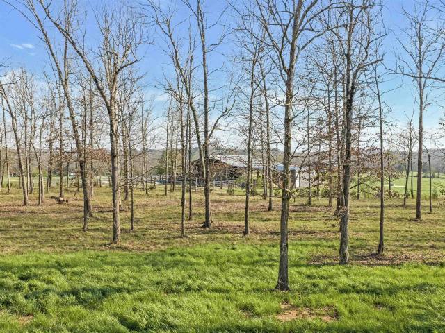 Land for sale in Rainsville, Alabama