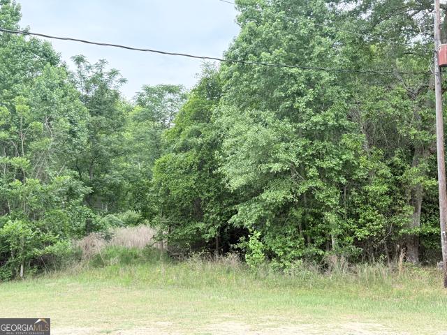 Land for sale in Evans, Georgia