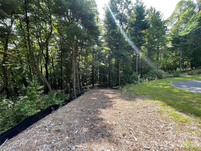 Land for sale in East Flat Rock, North Carolina
