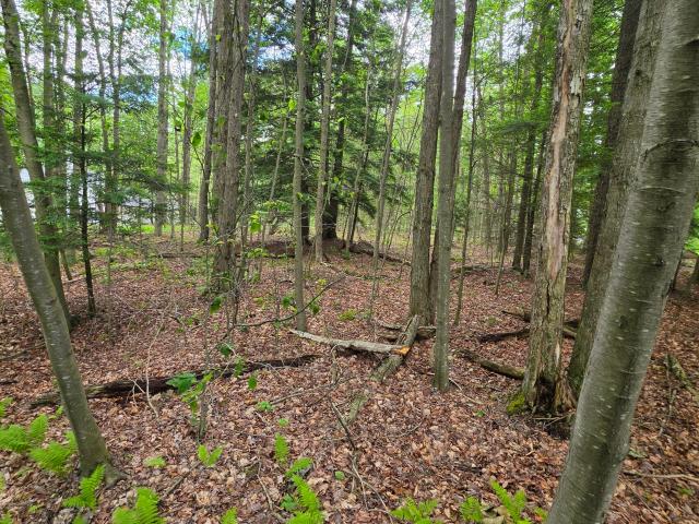 Land for sale in Sullivan, Pennsylvania