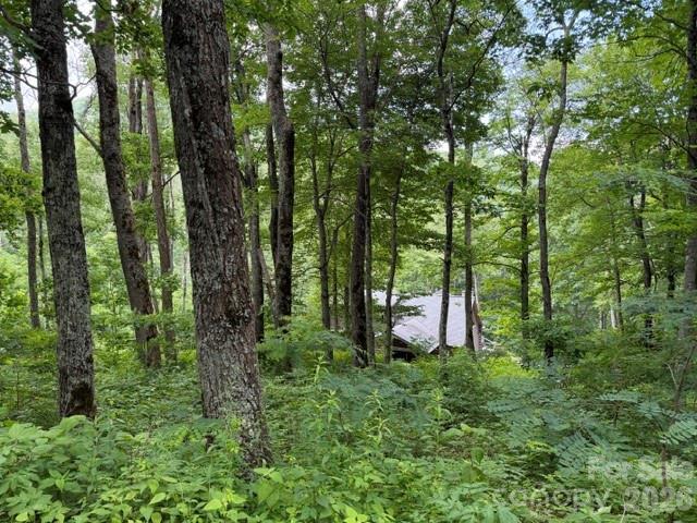 Land for sale in Haywood, North Carolina
