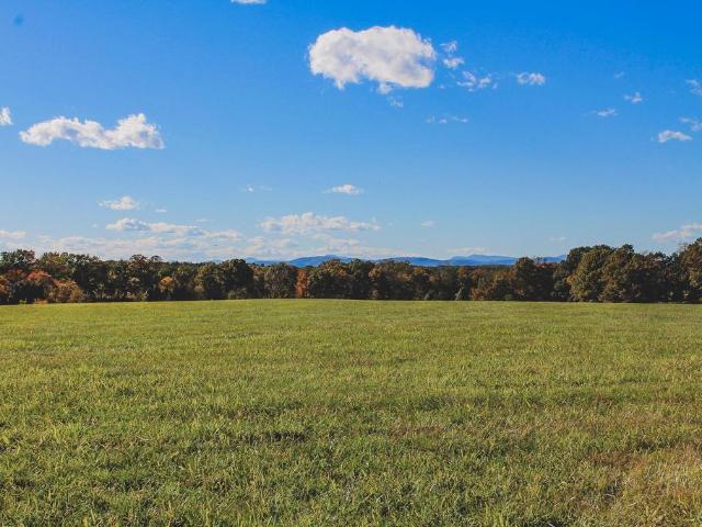 Land for sale in Modesto Farm, Scottsville