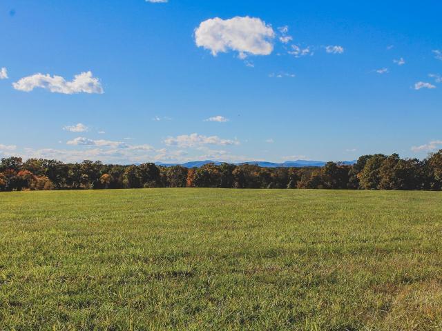 Land for sale in Modesto Farm, Scottsville