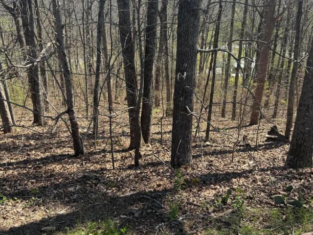 Land for sale in Georgia