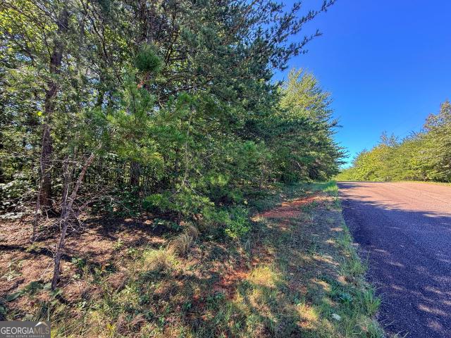 Land for sale in Toccoa, Georgia