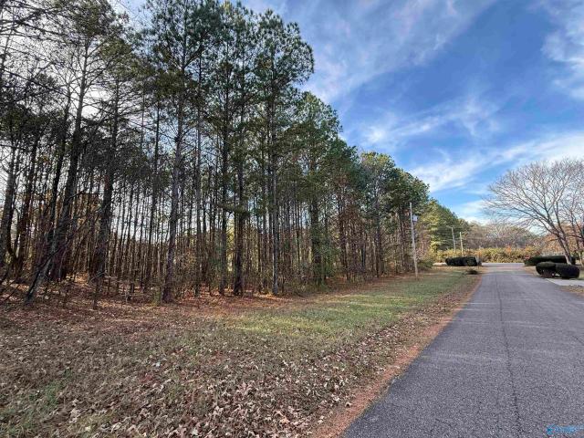 Land for sale in Etowah, Alabama