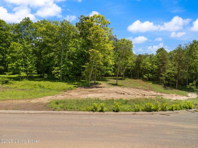 Land for sale in Shepherdsville, Bullitt County