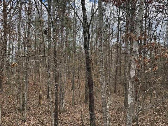 Land for sale in Virginia